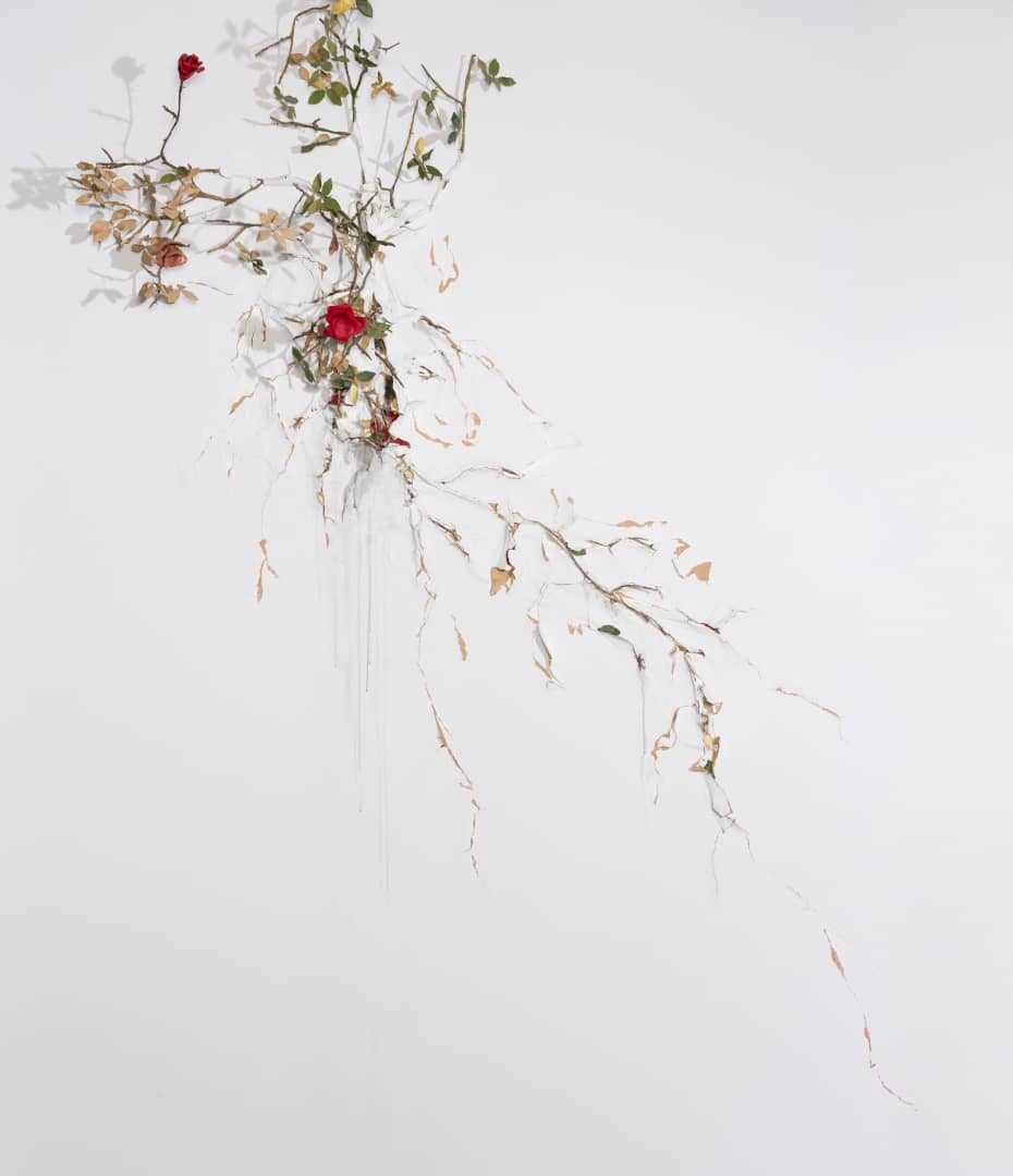 Valerie Hegarty, Climbing Rosebush 